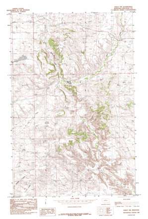 Eskay Nw USGS topographic map 47109h6