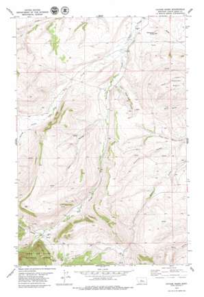 Cayuse Basin topo map
