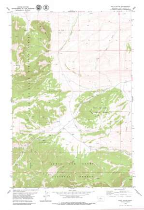 Wolf Butte topo map