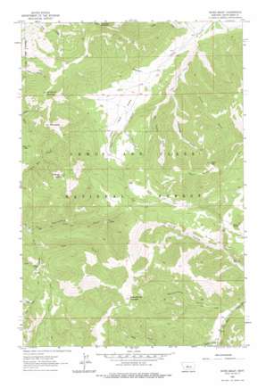 Mixes Baldy USGS topographic map 47110a5