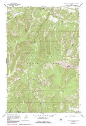 Thunder Mountain USGS topographic map 47110a8