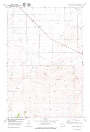 Wolf Butte NW USGS topographic map 47110b4