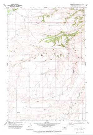 Leiberg Coulee topo map
