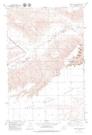 Strouf Island USGS topographic map 47110d1