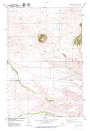Jiggs Flat USGS topographic map 47110d3