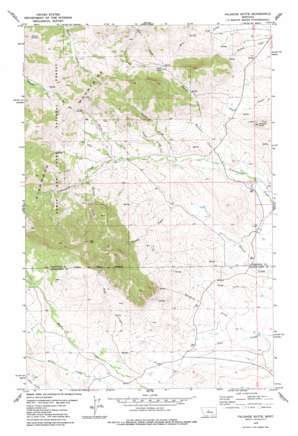 Palisade Butte topo map