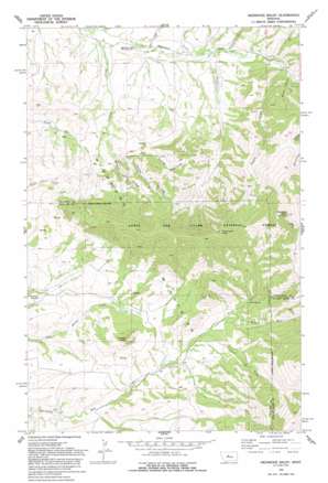 Highwood Baldy USGS topographic map 47110d6