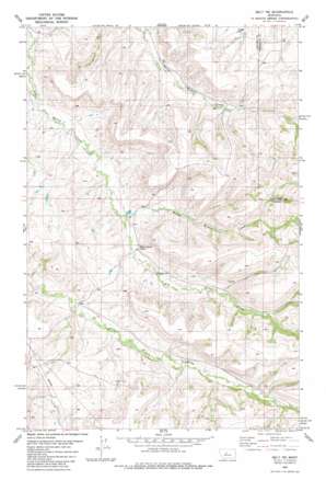 Belt NE USGS topographic map 47110d7