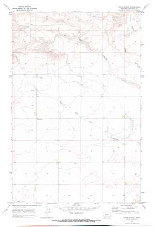 Apple School USGS topographic map 47110h8
