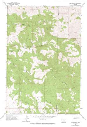 The Sawteeth USGS topographic map 47111a7