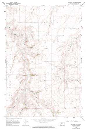 Mahoney Hill USGS topographic map 47111c1