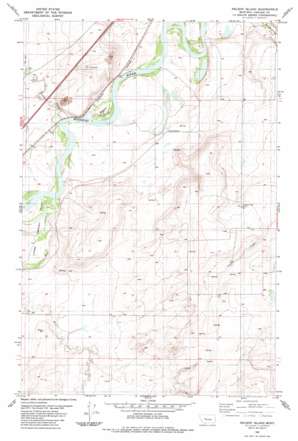 Nelson Island USGS topographic map 47111c5