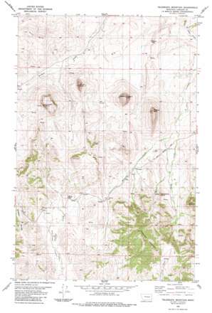 Telegraph Mountain USGS topographic map 47111c8