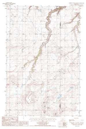 Timber Coulee South topo map