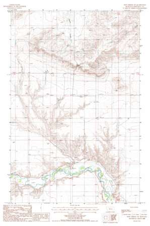 Dent Bridge NE USGS topographic map 47111h1