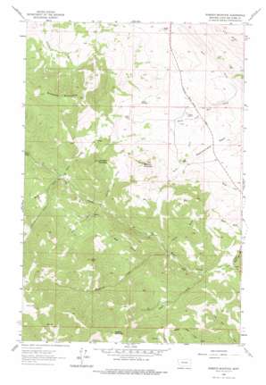 Roberts Mountain USGS topographic map 47112a2