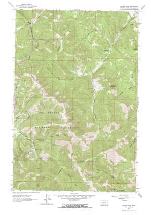 Rogers Pass topo map