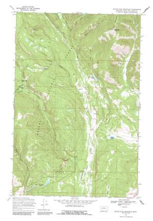 Silver King Mountain USGS topographic map 47112a5