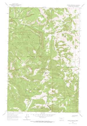 Blowout Mountain USGS topographic map 47112b4