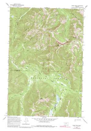 Olson Peak topo map