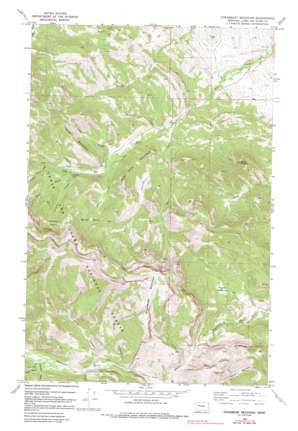 Steamboat Mountain USGS topographic map 47112c5