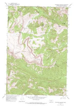 Scapegoat Mountain USGS topographic map 47112c7
