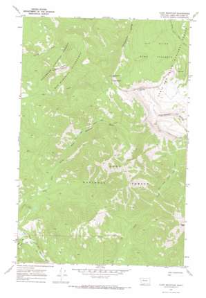 Flint Mountain USGS topographic map 47112c8