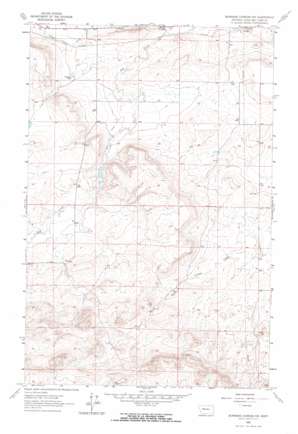 Bowmans Corners Nw topo map