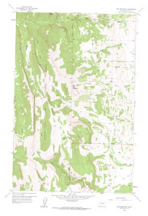 Ear Mountain USGS topographic map 47112g6