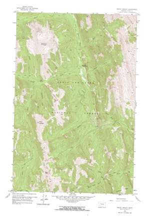 Mount Wright USGS topographic map 47112h7