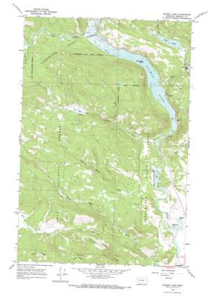 Salmon Lake topo map