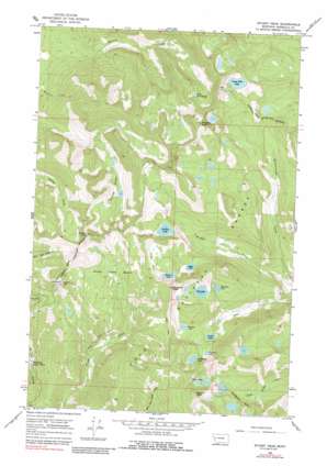 Stuart Peak USGS topographic map 47113a8