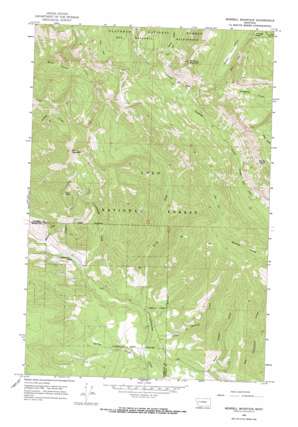 Morrell Mountain USGS topographic map 47113b3