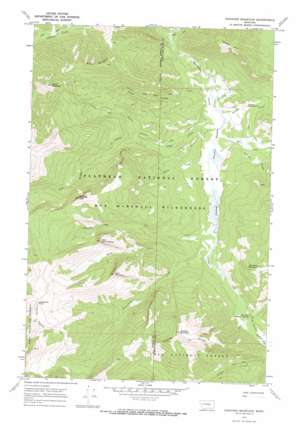 Danaher Mountain USGS topographic map 47113c1
