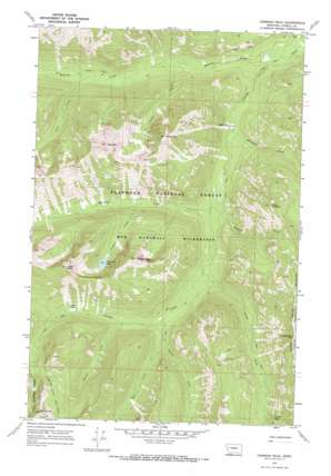 Crimson Peak USGS topographic map 47113c3