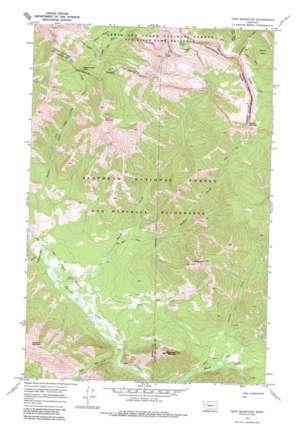 Trap Mountain USGS topographic map 47113d1