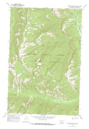 Marmot Mountain topo map
