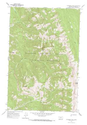 Cathedral Peak USGS topographic map 47113g3