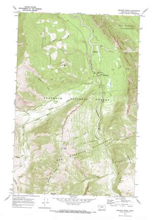 Meadow Creek topo map