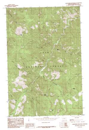 Landowner Mountain topo map