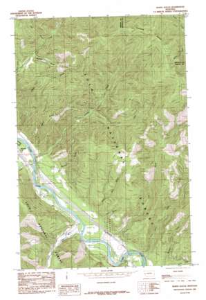 Idaho Gulch USGS topographic map 47114b7