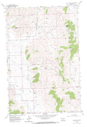 Oliver Point topo map