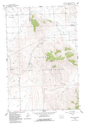 Markle Pass USGS topographic map 47114e5