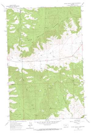 Irvine Lookout Tower USGS topographic map 47114g4