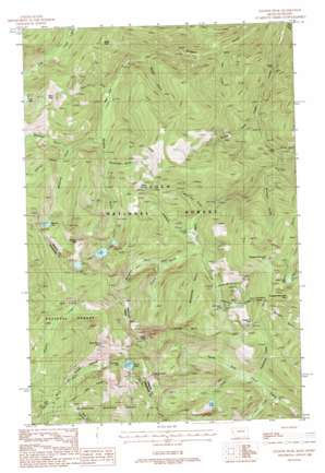 Illinois Peak USGS topographic map 47115a1