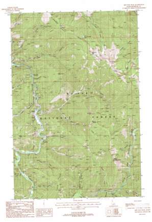 Red Ives Peak topo map
