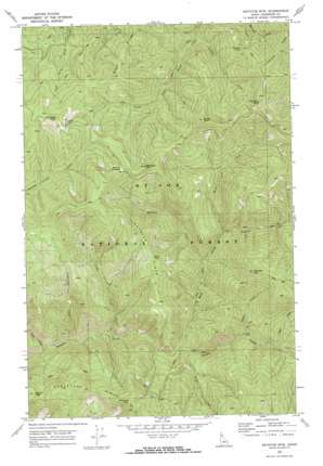 Bathtub Mountain USGS topographic map 47115a5