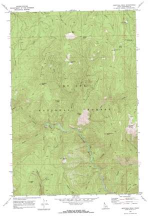 Montana Peak topo map