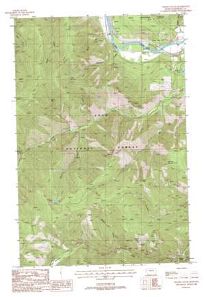 Wilson Gulch USGS topographic map 47115b1