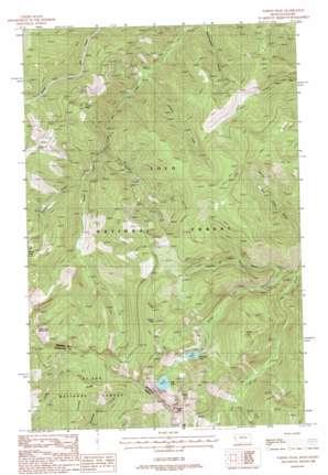 Torino Peak USGS topographic map 47115b2